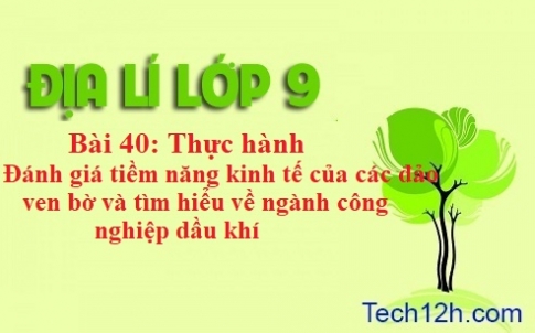 Bài 40. Thực hành đánh giá tiềm năng kinh tế của các đảo ven bờ và tìm hiểu về ngành công nghiệp dầu khí