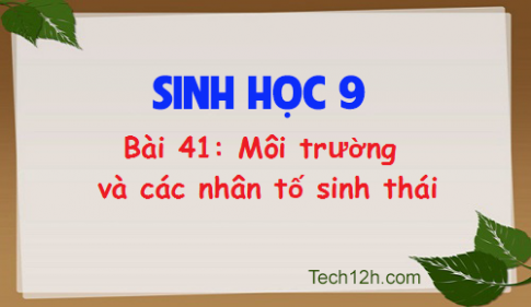 Giải bài 41 sinh 9: Môi trường và các nhân tố sinh thái