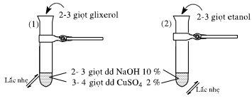 Giải bài 43 hóa 11: Bài thực hành số 5: Tính chất của etanol, glixerol và phenol - sgk trang 196