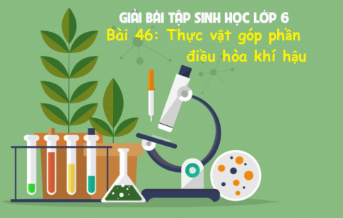 Giải bài 46 sinh 6: Thực vật góp phần điều hòa khí hậu