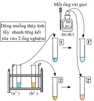 Giải bài 47 hóa 12 nâng cao: Bài thực hành số 7: Tính chất hóa học của crom, sắt, đồng và những hợp chất của chúng - sgk trang 227