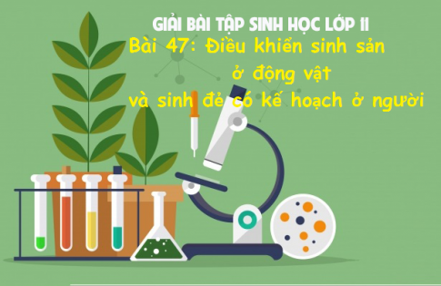 Giải Bài 47 sinh 11: Điều khiển sinh sản ở động vật và sinh đẻ có kế hoạch ở người