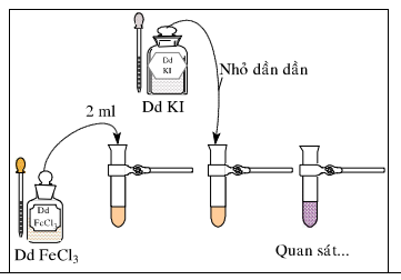 Giải bài 47 hóa 12 nâng cao: Bài thực hành số 7: Tính chất hóa học của crom, sắt, đồng và những hợp chất của chúng - sgk trang 227