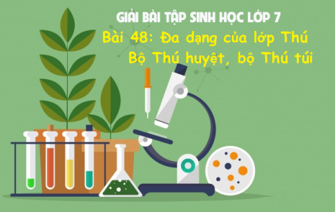 Giải bài 48 sinh 7: Đa dạng của lớp Thú. Bộ Thú huyệt, bộ Thú túi