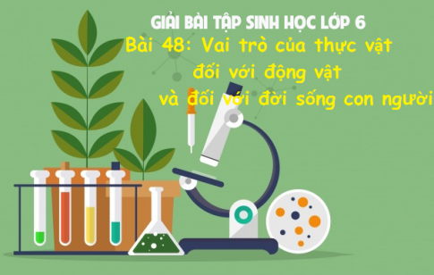 Giải bài 48 sinh 6: Vai trò của thực vật đối với động vật và đối với đời sống con người