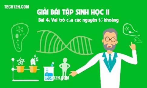 Bài 4 sinh 11: Vai trò của nguyên tố khoáng 