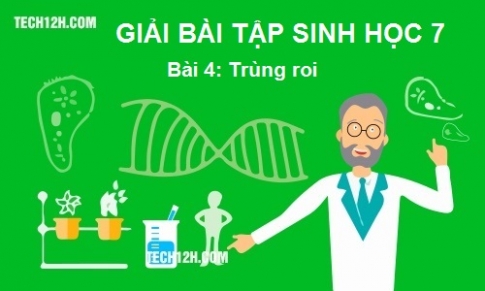 Giải bài 4 sinh 7: Trùng roi 