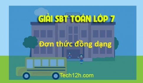 Sbt toán 7 tập 2 bài 4: Đơn thức đồng dạng Trang 21