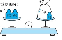 Giải bài Luyện tập chung - Toán lớp 2 trang 44