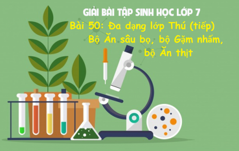 Giải bài 50 sinh 7: Đa dạng của lớp Thú (tiếp). Bộ Ăn sâu bọ, bộ Gặm nhấm, bộ Ăn thịt