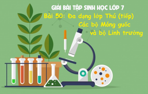 Giải bài 51 sinh 7: Đa dạng của lớp Thú (tiếp). Các bộ Móng guốc và bộ Linh trưởng