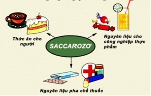 Giải bài 51: Saccarozơ - SGK hóa học 9 trang 153