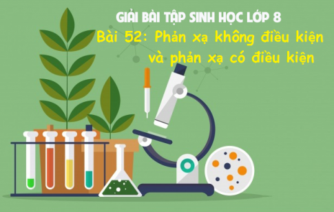 Giải bài xích 52 sinh 8: Phản xạ ko ĐK và hành động tự nhiên với điều kiện