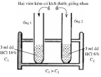 Giải bài thực hành số 7 hóa 10 nâng cao: Tốc độ phản ứng và cân bằng hóa học - sgk trang 218