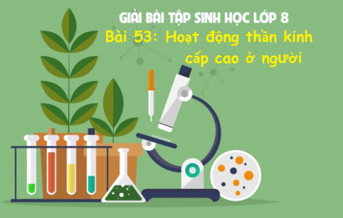 Giải bài 53 sinh 8: Hoạt động thần kinh cấp cao ở người