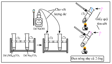 Giải bài 54 hóa 12 nâng cao: Bài thực hành số 8: Nhận biết một số ion trong dung dịch sgk trang 251