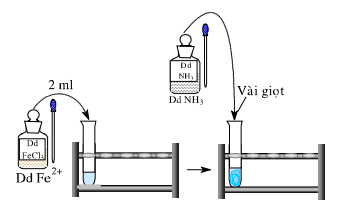 Giải bài 54 hóa 12 nâng cao: Bài thực hành số 8: Nhận biết một số ion trong dung dịch sgk trang 251