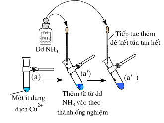 Giải bài 54 hóa 12 nâng cao: Bài thực hành số 8: Nhận biết một số ion trong dung dịch sgk trang 251