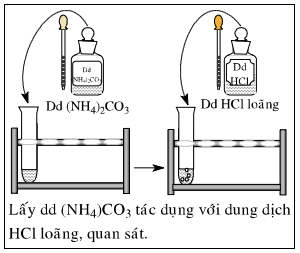 Giải bài 54 hóa 12 nâng cao: Bài thực hành số 8: Nhận biết một số ion trong dung dịch sgk trang 251