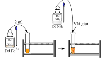 Giải bài 54 hóa 12 nâng cao: Bài thực hành số 8: Nhận biết một số ion trong dung dịch sgk trang 251