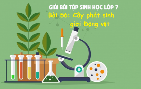 Giải bài 56 sinh 7: Cây phát sinh giới Động vật