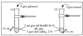 Giải bài 50 hóa 11 nâng cao: Thực hành: Tính chất của một vài dẫn xuất halogen, ancol và phenol - sgk trang 236