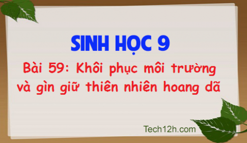 Giải bài 59 sinh 9: Khôi phục môi trường và gìn giữa thiên nhiên hoang dã 