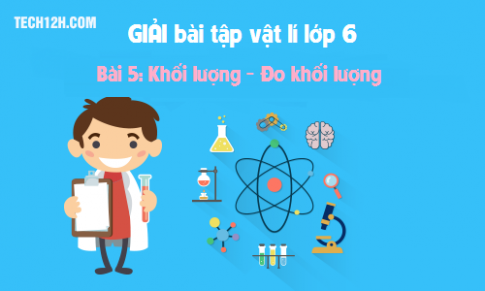 Giải bài 5 vật lí 6: Khối lượng Đo khối lượng