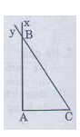 Bài 5: Trường hợp bằng nhau thứ ba của tam giác góc - cạnh - góc (g.c.g)