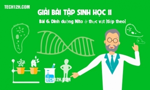 Giải bài 6 sinh 11: Dinh dưỡng Nitơ ở thực vật tiếp theo