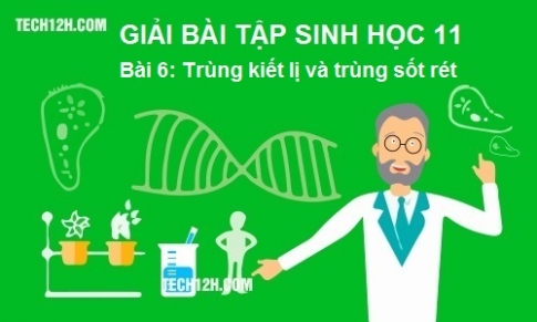 Giải bài 6 sinh 7: Trùng kiết lị và trùng sốt rét 