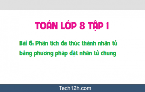 Giải bài 6: Phân tích đa thức thành nhân tử bằng phương pháp đặt nhân tử chung sgk Toán đại 8 tập 1 Trang 18 19