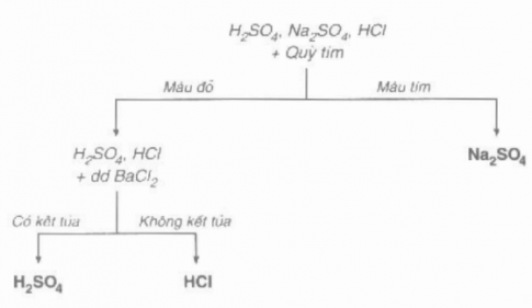 Bài 6: Thực hành : Tính chất hóa học của oxit và axit