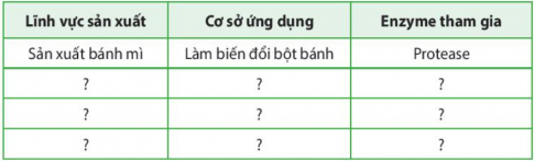 Hãy liên hệ những lĩnh vực sản xuất và đời sống có ứng dụng các loại enzyme bằng cách hoàn thành bảng theo mẫu sau