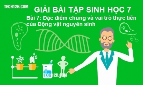 Giải bài 7 sinh 7: Đặc điểm chung và vai trò thực tiễn của Động vật nguyên sinh