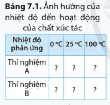 Hiện tượng sủi bọt khí trong thí nghiệm A và B xảy ra mạnh nhất ở điều kiện nhiệt độ nào? Dự đoán kết quả theo gợi ý ở bảng 7.1.