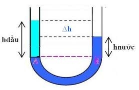 Bài 8: Áp suất chất lỏng - Bình thông nhau