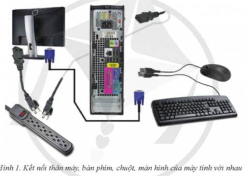 Giải Tin học 11 định hướng Tin học ứng dụng Cánh diều bài 4 Thực hành với các thiết bị số