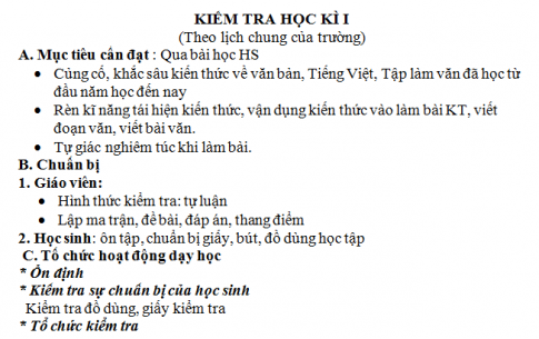 Giáo án vnen bài Kiểm tra học kì I (ngữ văn 8)