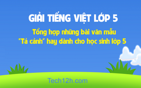 Tổng hợp những bài văn mẫu 