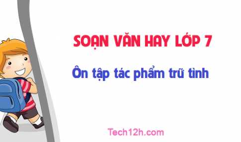 Soạn văn bài: Ôn tập tác phẩm trữ tình