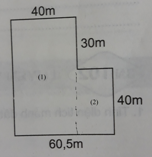 Giải vbt toán 5 tập 2 bài 101: luyện tập về tính diện tích - Trang 17,18