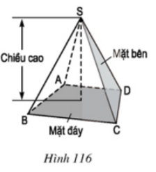 Giải Bài 7: Hình chóp đều và hình chóp cụt đều - sgk Toán 8 tập 2 Trang 116-3