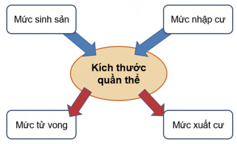 Sơ đồ thể hiện sự ảnh hưởng của các yếu tố đến kích thước quần thể: