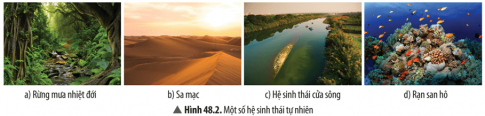Hãy xác định các hệ sinh thái trong Hình 48.2 thuộc kiểu hệ sinh thái nào.
