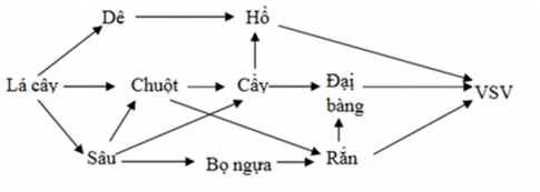 - Ví dụ về chuỗi thức ăn trong tự nhiên: Cỏ → Châu chấu → Ếch → Rắn → Chim Đại bàng → Vi sinh vật.  - Ví dụ về lưới thức ăn trong tự nhiên: