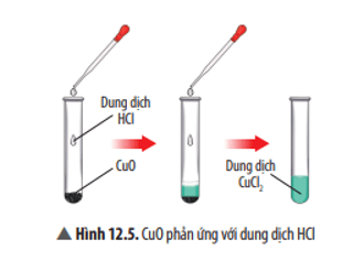 Hãy nêu hiện tượng và viết phương trình hoá học của phản ứng xảy ra ở Thí nghiệm 1. Nếu thay dung dịch HCl bằng dung dịch H2SO4 thì có phản ứng hoá học xảy ra không? Giải thích.