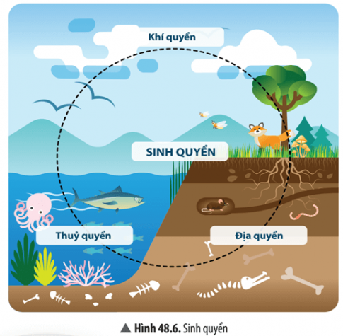 Quan sát Hình 48.6, hãy cho biết:  a) Các thành phần của sinh quyển.  b) Sinh quyển là gì?