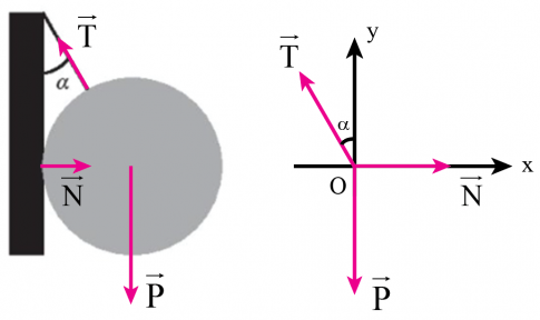 Một quả cầu có trọng lượng P = 40 N được treo vào tường nhờ 1 sợi dây hợp với mặt tường một góc