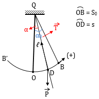 Bài 3: Con lắc đơn